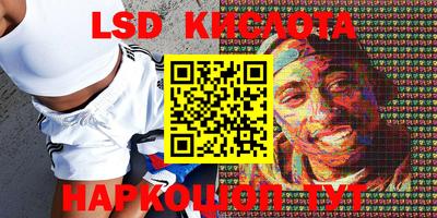 бошки Кингисепп