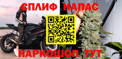 бошки Кингисепп